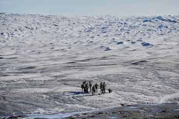 Fuerzas danesas en unas maniobras