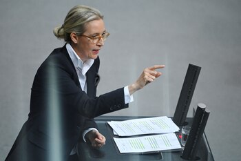 Alice Weidel criticó “la inacción