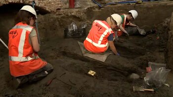 Los huesos localizados irán al