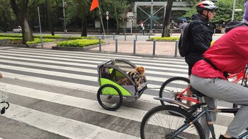 ciclotón-cdmx-mexico-24062021