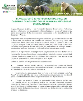 Fedearroz alertó por la inundación de 13.000 hectáreas de arroz en varios departamentos debido a las lluvias - crédito Fedearroz