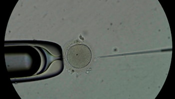 Donald Trump firmó una orden