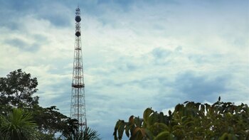 La historia de cómo se