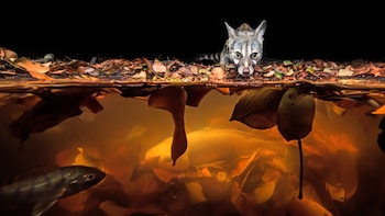 El fotógrafo Hannes Lochner, quien