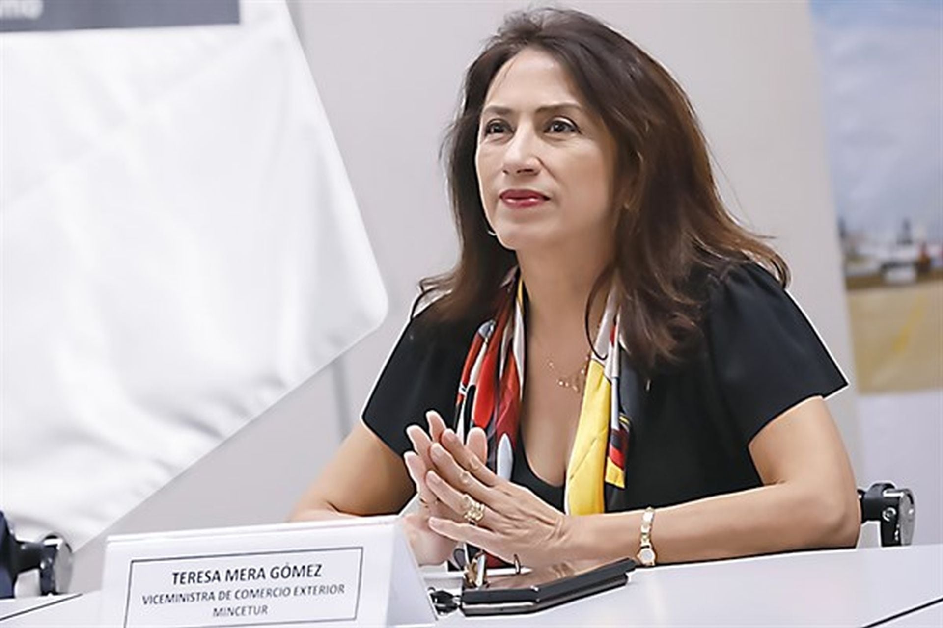 Teresa Mera destaca que el gobierno peruano apueste por un marco normativo eficiente para promover inversiones extranjeras y modernizar la economía.