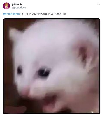 Estos fueron algunos memes de