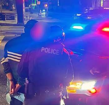 Reiner fue arrestado por la