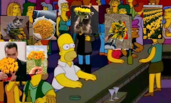 memes 21 de febrero