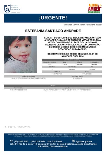 Casos de menores desaparecidos 2