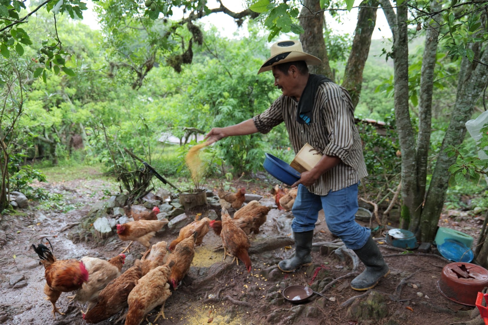La FAO despliega una respuesta humanitaria en el corredor seco de Honduras.