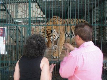 Colectivos animales han denunciado una