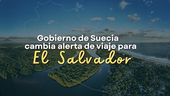 La drástica reducción de delitos