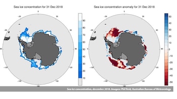 Registros climáticos indican que la capa de hielo de la Antártida tuvo cambios abruptos durante el Oligoceno y el Mioceno