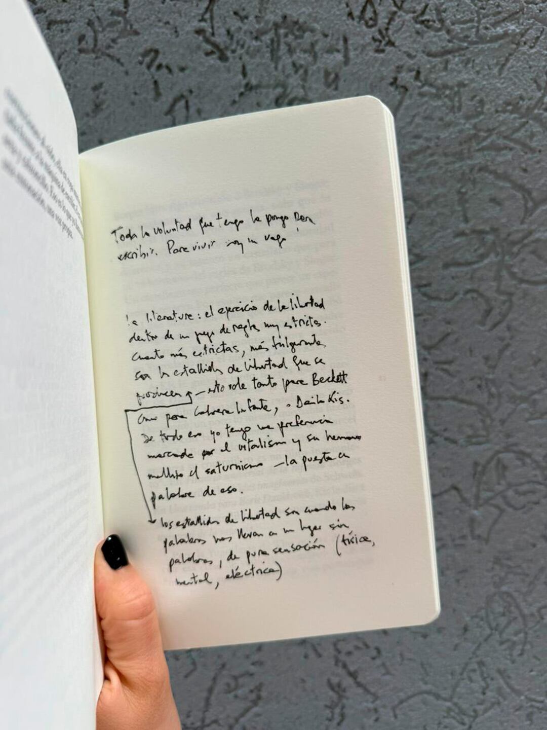 Anotaciones de Juan Forn incluidas en el libro.