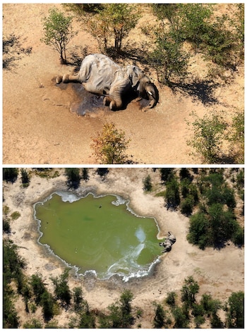 FOTO DE ARCHIVO: Una foto