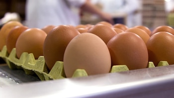Los españoles compran cada vez más huevos pese a la inflación: cada hogar gasta 88 euros al año y consume 9 kilos por persona