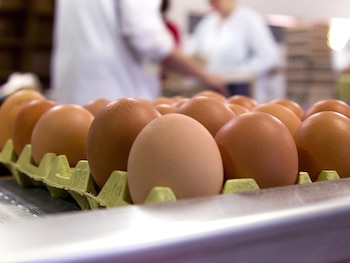 Imagen de archivo de una docena de huevos