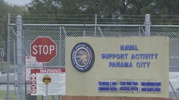Video: así fue el feroz ataque de un tiburón a un empleado dentro de una base naval en Florida