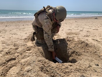 Efectivo del Equipo de Desactivación