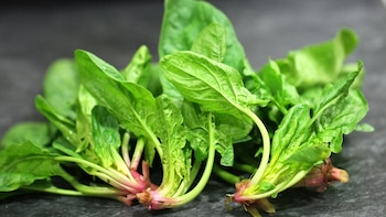 Los alimentos de hoja verde