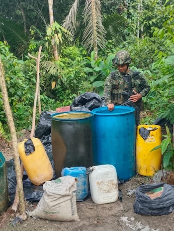 Agentes de la DNPA localizaron una extensa plantación de hoja de coca en una zona montañosa de Olancho. (Foto: DNPA)