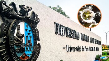 San Marcos-Perú-06 de junio