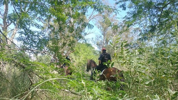 La Policía en plena búsqueda