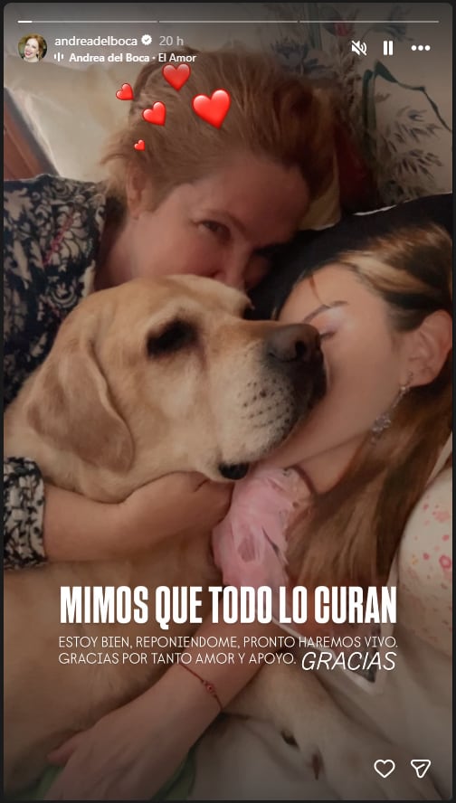 El mensaje de Andrea del Boca destacó que se encuentra bien y agradeció el cariño y el apoyo recibidos tras la caída en el reality (Instagram)