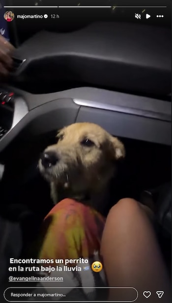 Evangelina y Majo pudieron encontrar