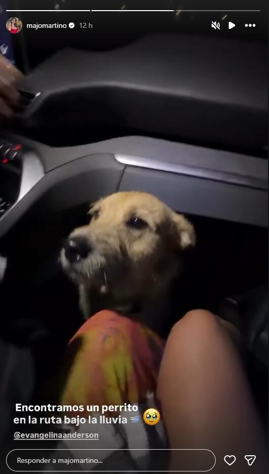Evangelina y Majo pudieron encontrar al dueño