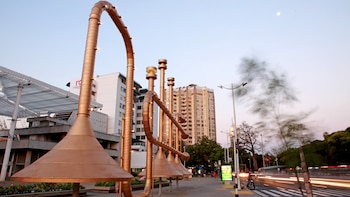 Este es el motivo por