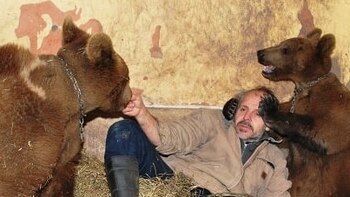 “Crueldad animal”: ordenan reabrir la