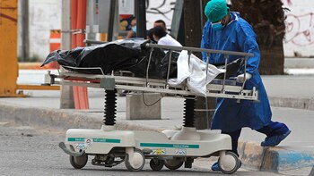 Coronavirus en México al 24