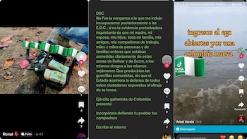 En las imágenes se evidencia