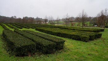 Los cultivos ecológicos: mejor impacto