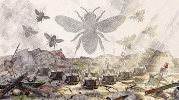 Un mecanismo copiado de las abejas podría mejorar la toma de decisiones de los robots, afirma un estudio