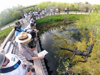 El Parque Nacional Everglades es