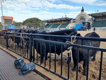 Ayer se realizó la admisión