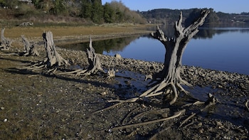 El Gobierno aclara que no renuncia a que los sistemas de regadío histórico sean Patrimonio UNESCO y rehace el expediente
