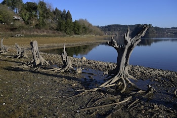 Imagen 6JHDLEOCGBDADFZXG2DVJWFJEI