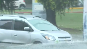 La Intendencia de Montevideo informó