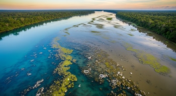 Vista aérea de un río tropical. Las aguas muestran secciones azules claras y otras turbias con burbujas. Hay árboles verdes densos en las orillas y un cielo cálido.