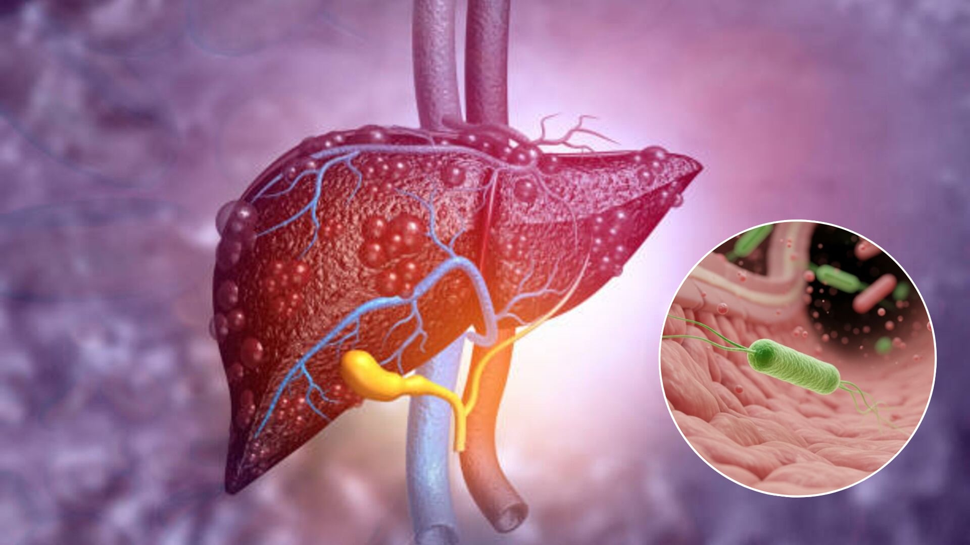 Un estudio en ratones mostró que transferencias de microbiota fecal joven disminuyeron indicadores de inflamación (Imagen Ilustrativa Infobae)