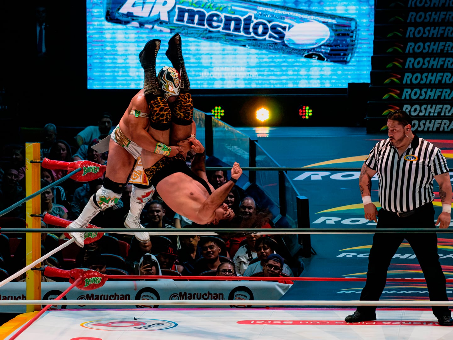(Cortesía: @elmusport / CMLL)