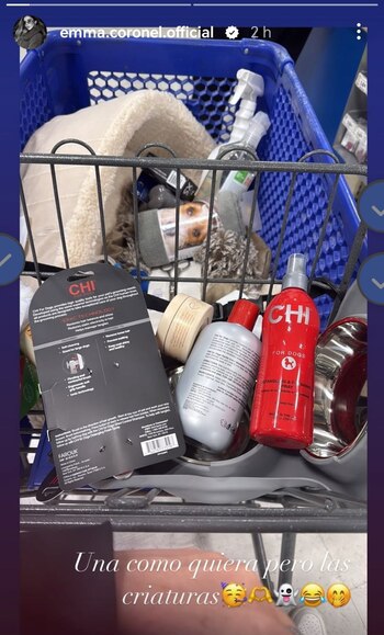 Coronel mostró su carrito de