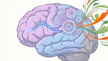 Pensar “fuera de la caja” exige suprimir una de las regiones más importantes del cerebro, afirma un nuevo estudio