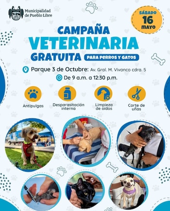 La iniciativa municipal promueve la tenencia responsable y la prevención de enfermedades en perros y gatos a través de la atención veterinaria primaria - Créditos: Municipalidad de Pueblo Libre.