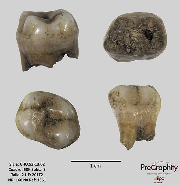 Las cuevas cántabras El Mirón y Chufín, claves para reconstruir la historia genética de poblaciones de hace 30.000 años