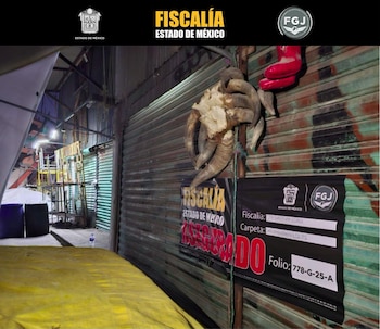 Foto: Fiscalía General de Justicia