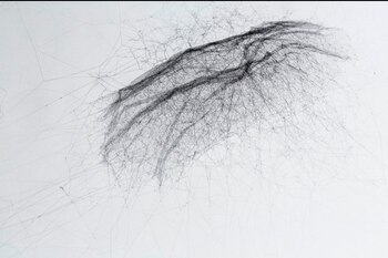 "Particular Matter(s)", la muestra multisensorial